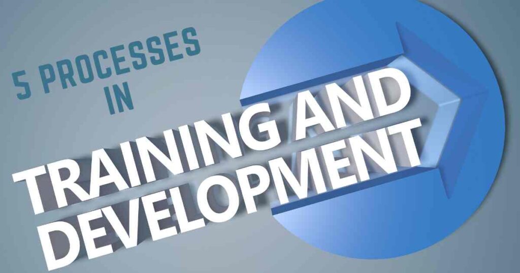 5 processes in training and development in HRM