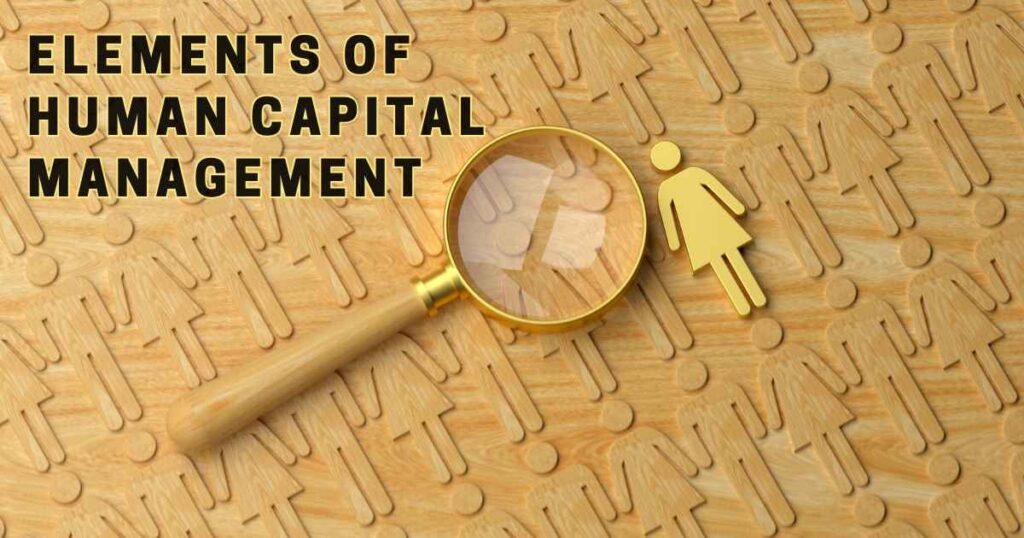 Elements of Human Capital Management