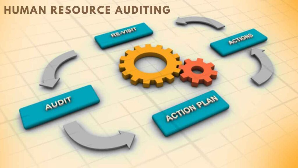 human resources auditing