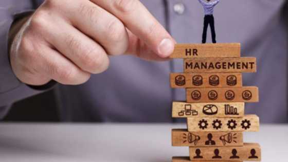 Best HR Consultancy in Delhi