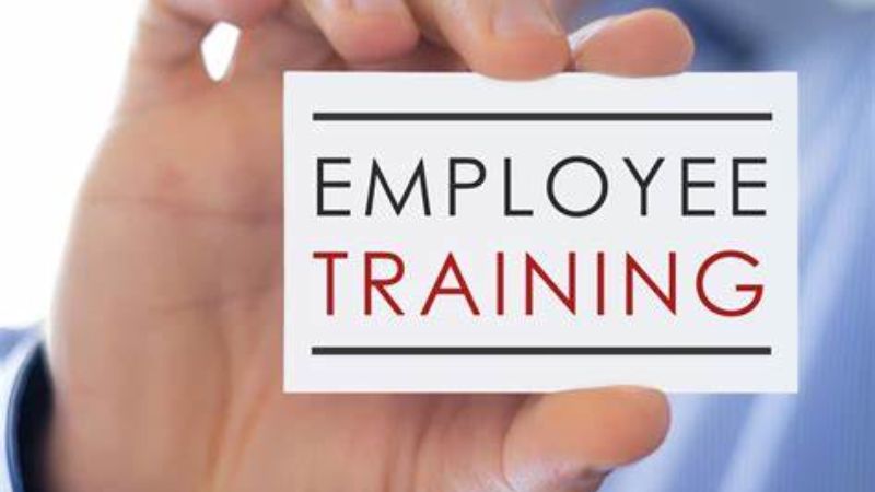 HR Partners and Employee Training